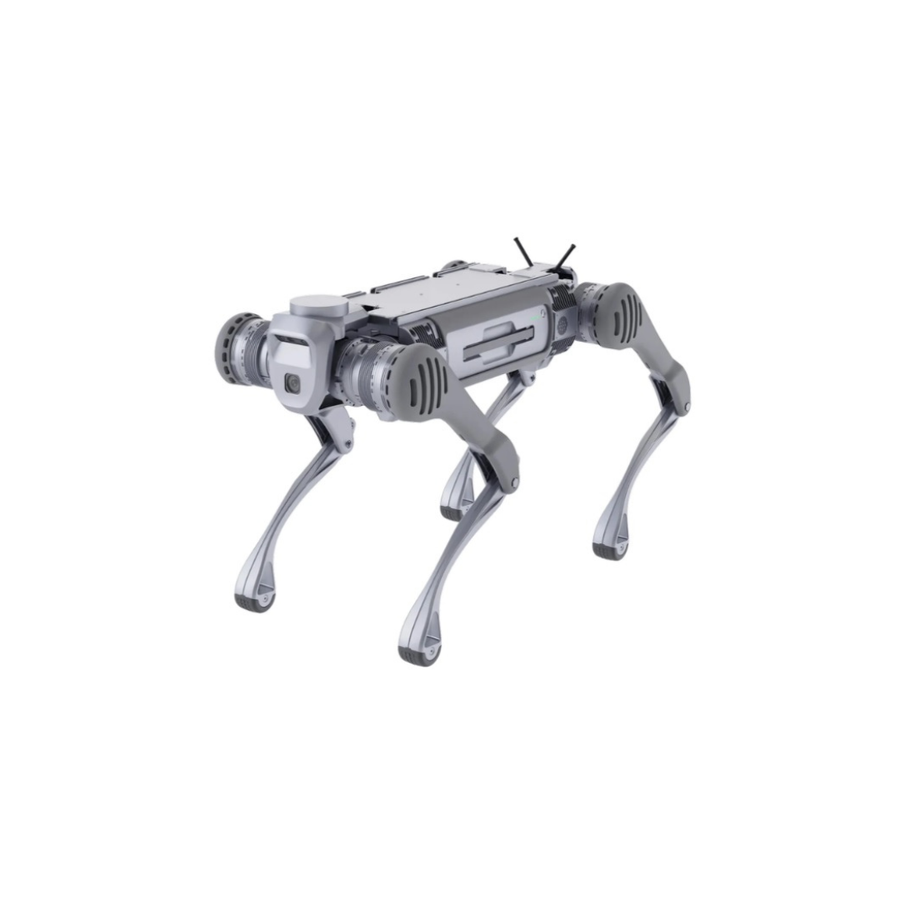 Unitree В2 Quadruped