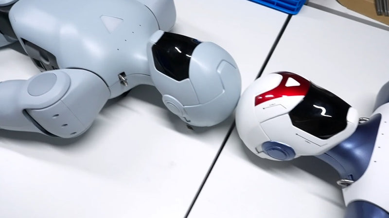 Customization and Personalization Options